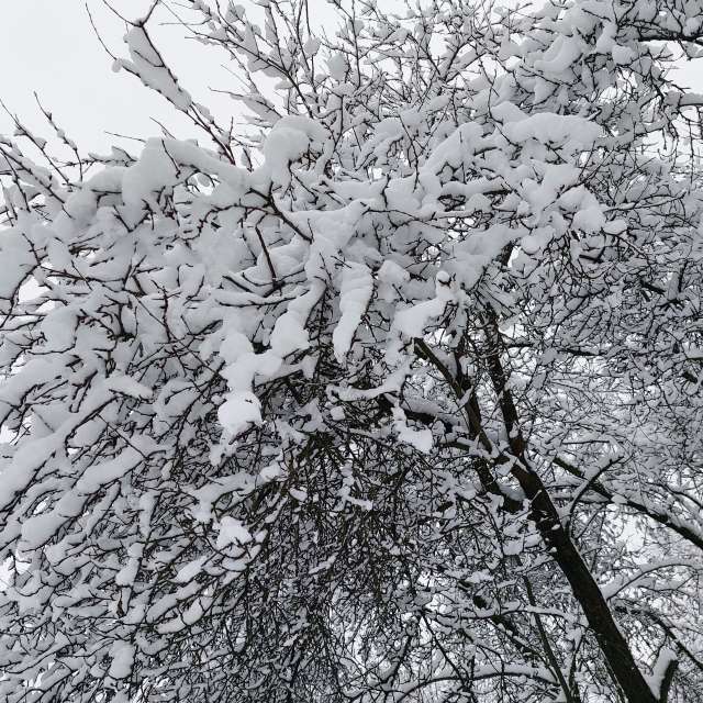 Fluffy. Weather forecasts with beautiful photos by Iryna Photos in Kharkiv