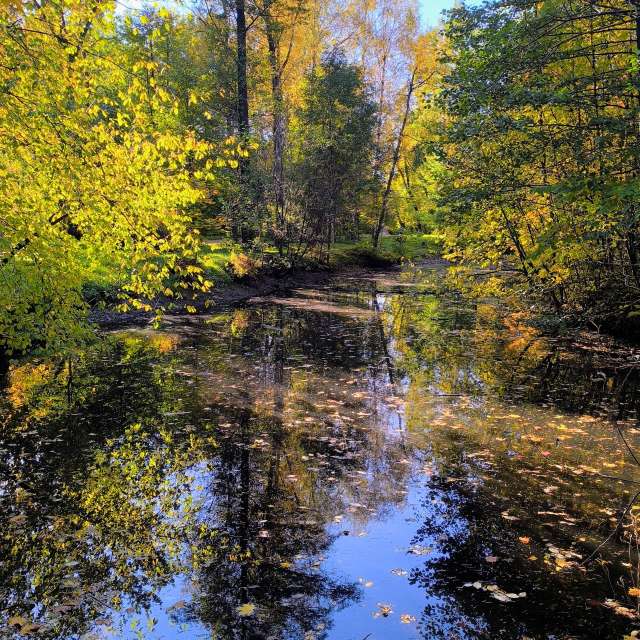 Jeaの美しい写真による天気予報