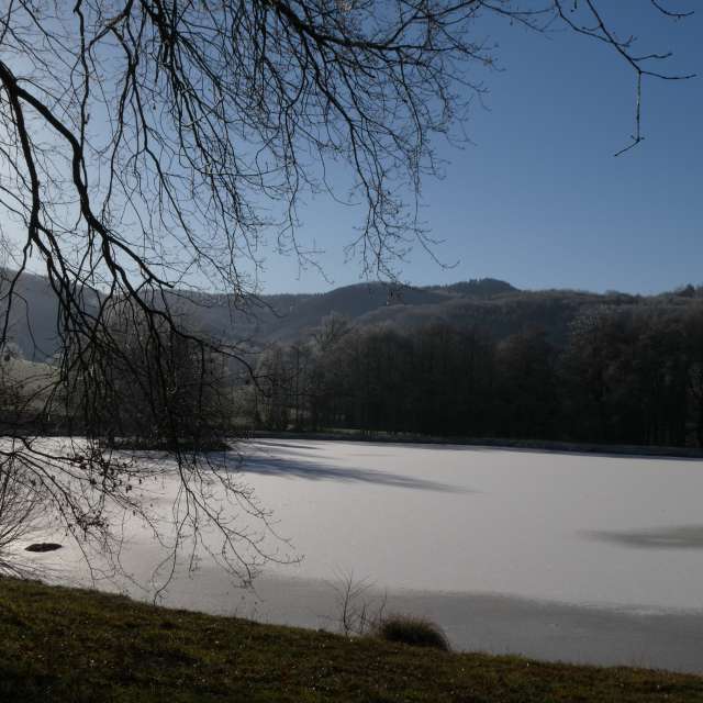 Прогнозы погоды с чудесными фотографиями, сделанными Fredy_Hiker