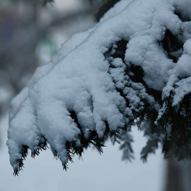 Прогнозы погоды с чудесными фотографиями, сделанными martinm611