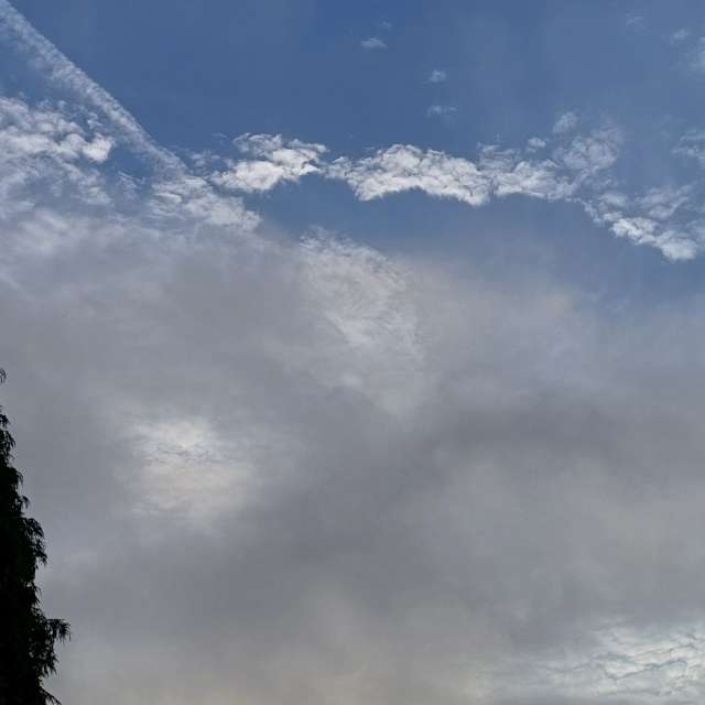 Photos Homme. Prévisions météo avec de superbes photos de Lolli de Maidstone