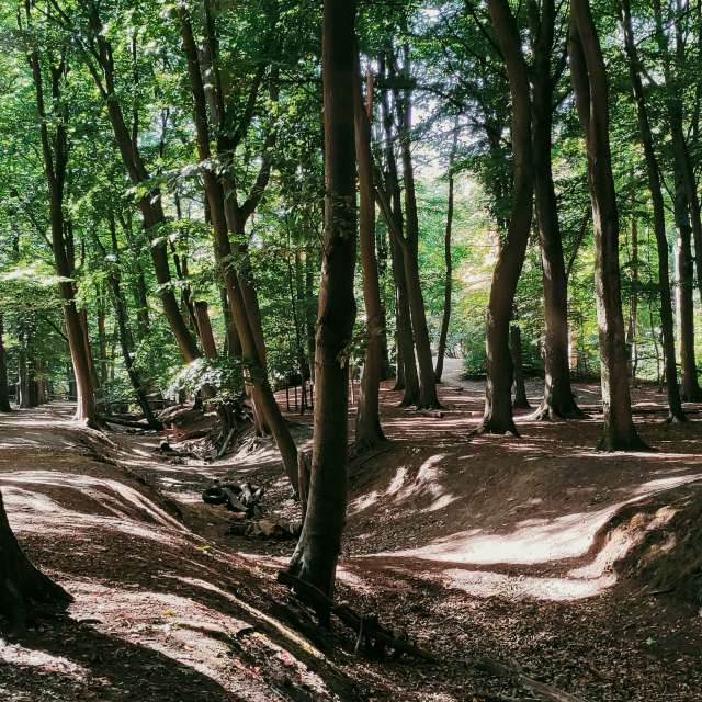 agOostの美しい写真による天気予報