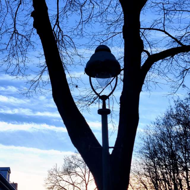 世界的天气照片. 天气预报，带Zorrra精美的照片