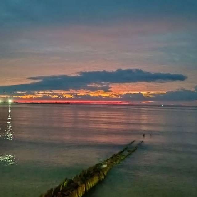 Fotos A lei. Previsões do tempo com lindas fotos de Михаил Бондаренко em Pionerskiy