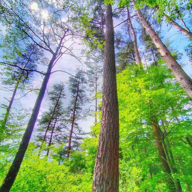 Weather. Weather forecasts with beautiful photos by Kasumisou Photos in Saku-shi