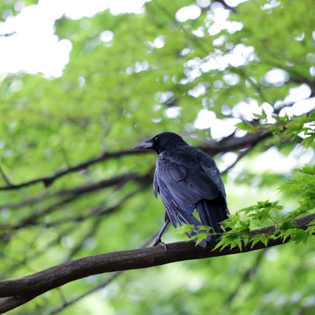 Fotos del Clima. Pronósticos del tiempo con hermosas fotos de Ashley en Tama