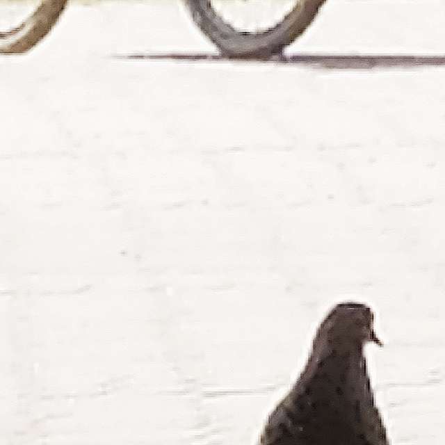 Weather forecasts with beautiful photos by Olgert