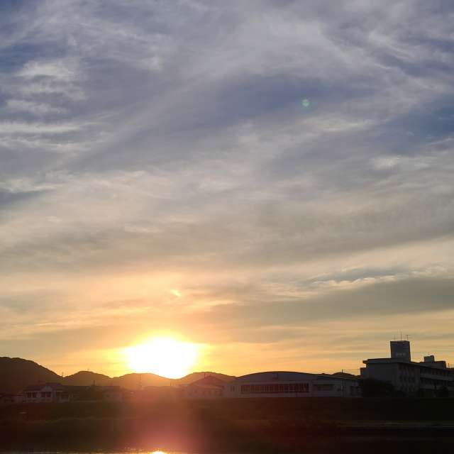 Sheep. Weather forecasts with beautiful photos by あさのジジ Photos in Okayama