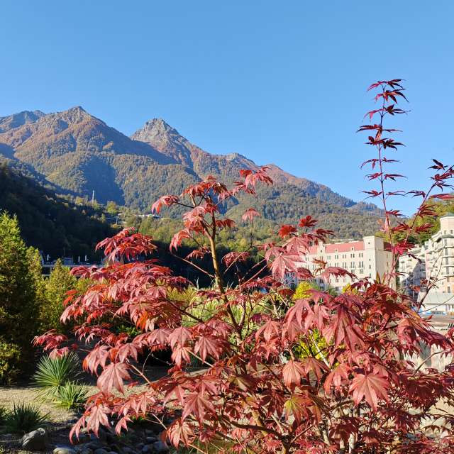 Garten. Wettervorhersagen mit schönen Fotos von Albert_Smelovtsev Fotos Roza Khutor
