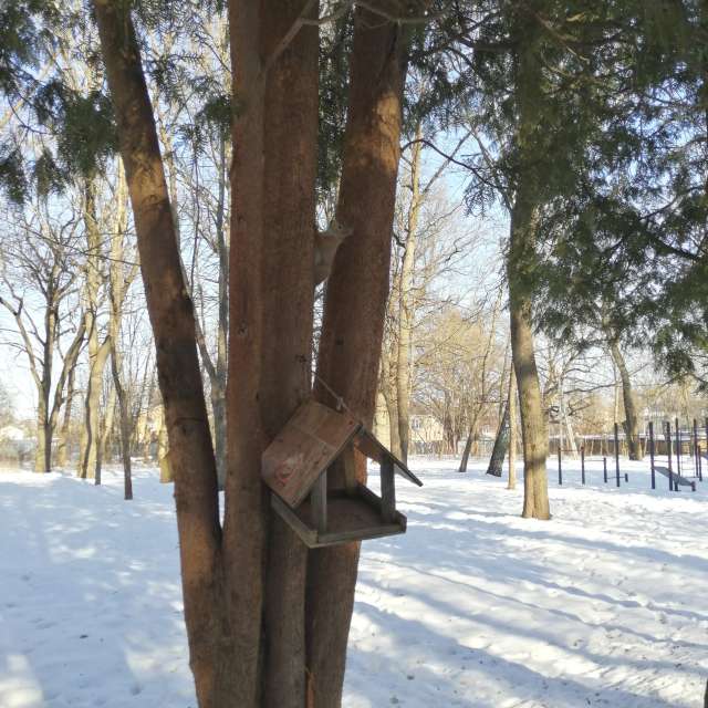 天气预报，带vilinsckayaolga精美的照片