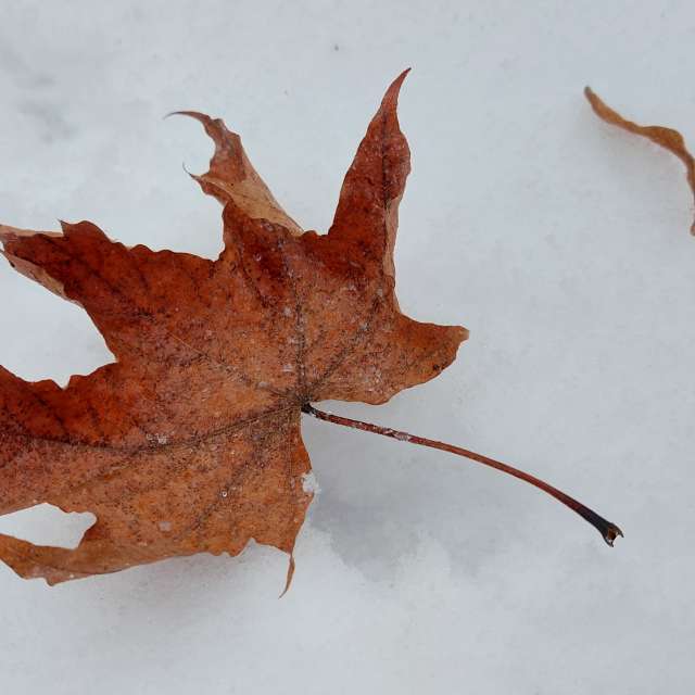 Lie. Weather forecasts with beautiful photos by Iryna Photos in Kharkiv