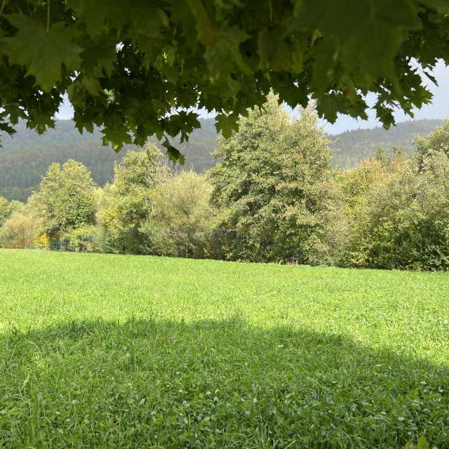 Photos Marche. Prévisions météo avec de superbes photos de SwissEloi de Sonceboz