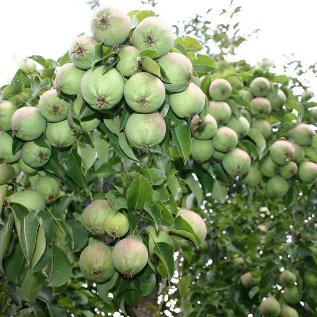 Large. Weather forecasts with beautiful photos by LarNa Photos in Moscow