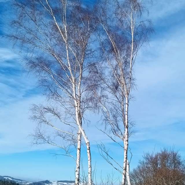 Wettervorhersagen mit schönen Fotos von Kripo