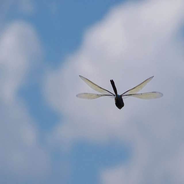 Background. Weather forecasts with beautiful photos by Михаил Гавриков Photos in Kharkiv