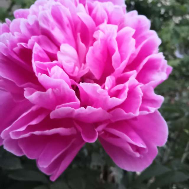 Wettervorhersagen mit schönen Fotos von Yurik