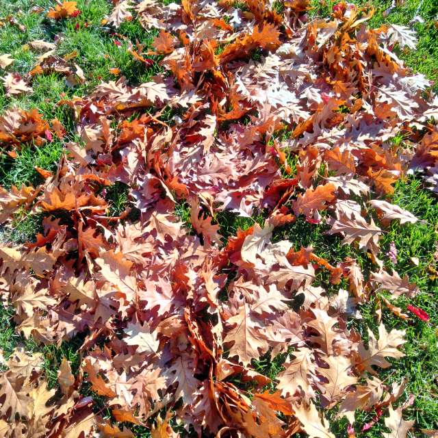 Weather forecasts with beautiful photos by Kate72