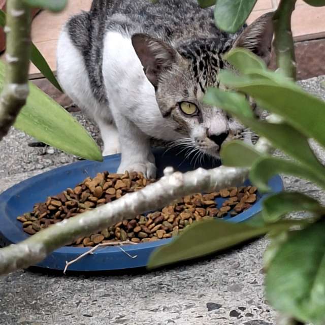 Laying. Weather forecasts with beautiful photos by Wen-ya Huang Photos in Kaohsiung City
