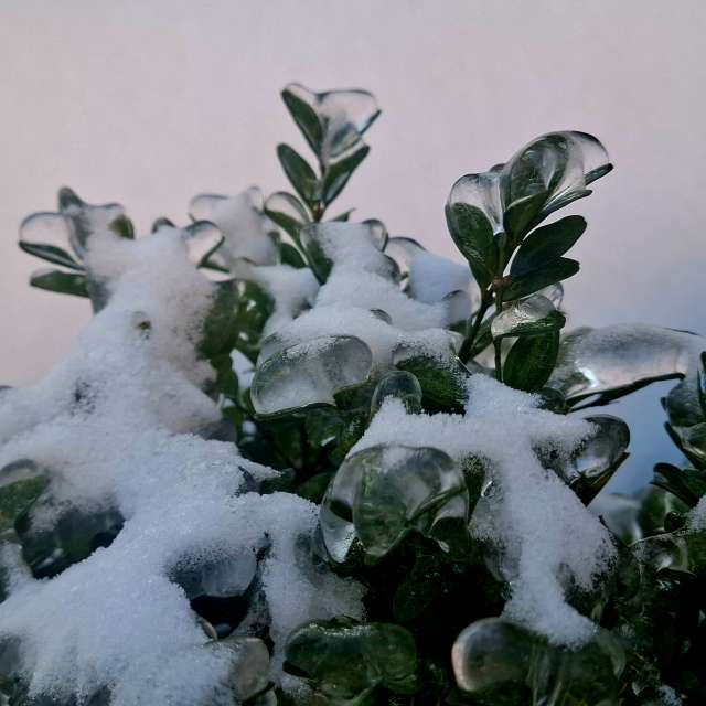 Weather forecasts with beautiful photos by Iryna