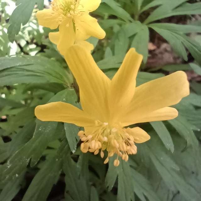 Weather Photos in World. Weather forecasts with beautiful photos by Amanda_and_Valdemar_Che