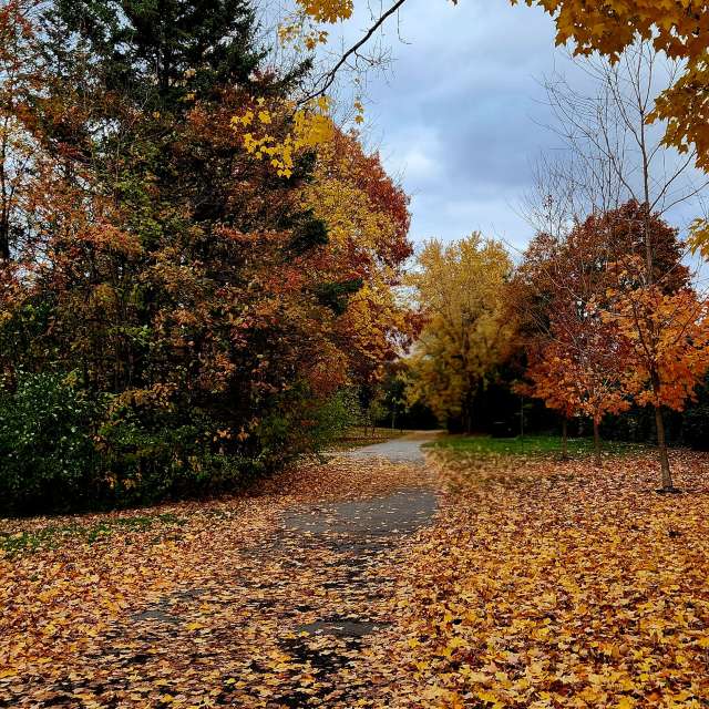 Weather. Wettervorhersagen mit schönen Fotos von KevinG Fotos Kanata Avenue