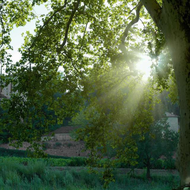 天气预报，带loris-b精美的照片