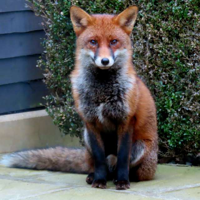 世界の天気写真. Lolliの美しい写真による天気予報