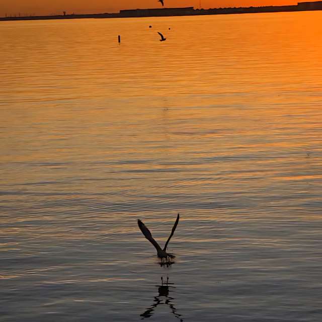 Previsões do tempo com lindas fotos de jJaycox