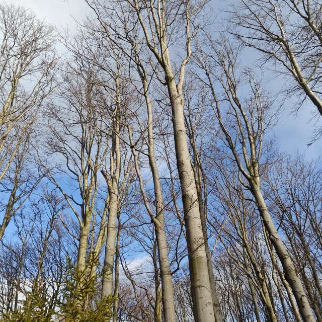 Weather forecasts with beautiful photos by zjabri