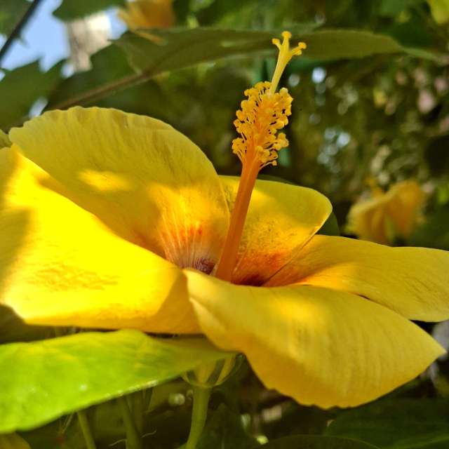 Garden. Weather forecasts with beautiful photos by Wen-ya Huang Photos in Kaohsiung City