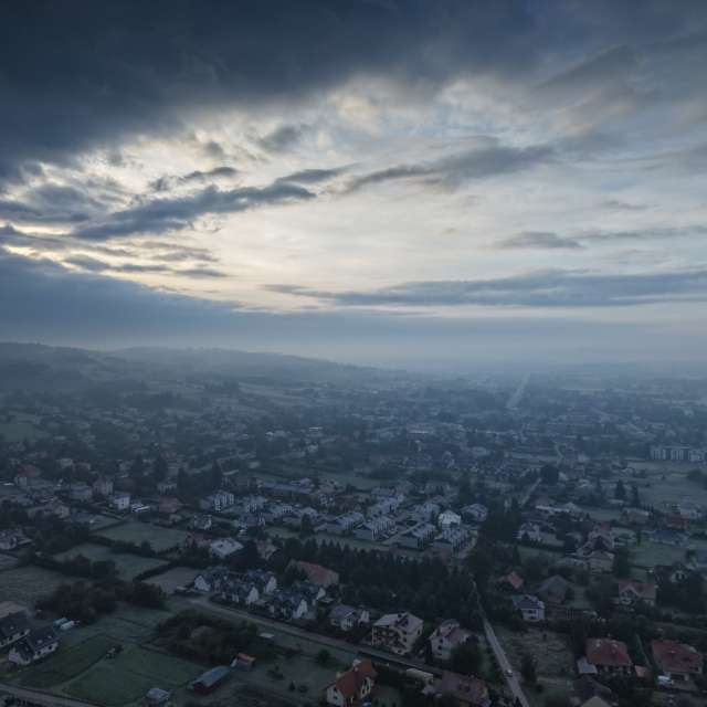 Sheep. Weather forecasts with beautiful photos by KAMP Photos in World