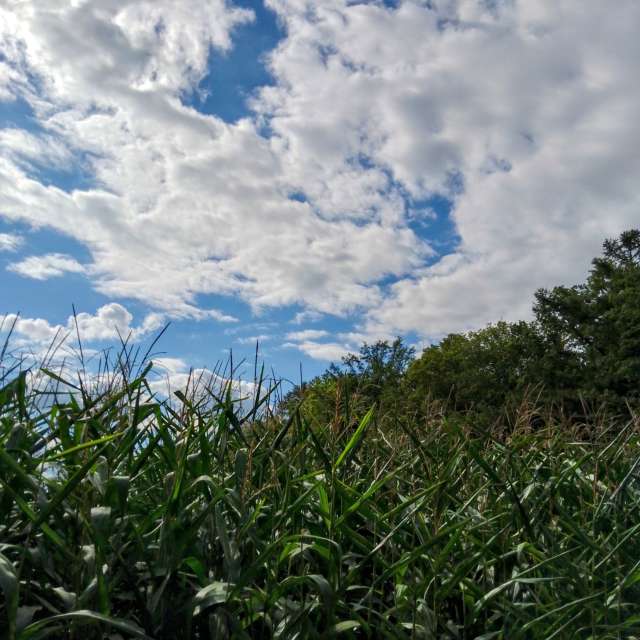 Glasmanの美しい写真による天気予報