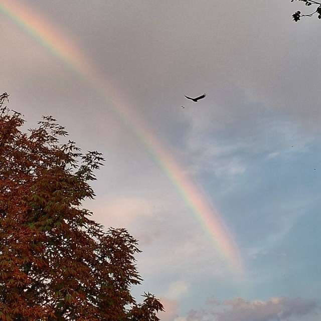 Flying. Weather forecasts with beautiful photos by urashm Photos in Khmelnytskyi