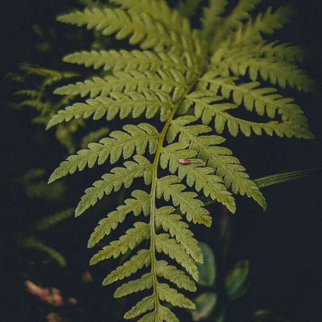 世界的天气照片. 天气预报，带CourtT精美的照片