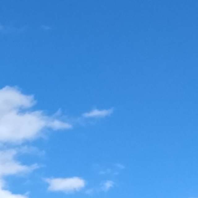 Photos Homme. Prévisions météo avec de superbes photos de Betp de North Carolina