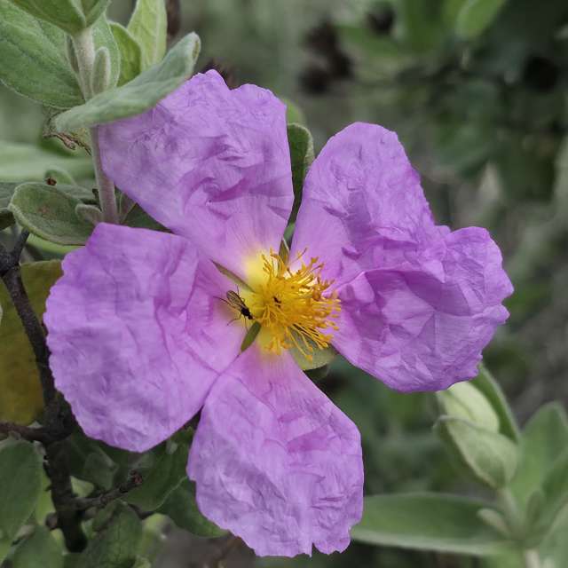 Weather forecasts with beautiful photos by Brtd