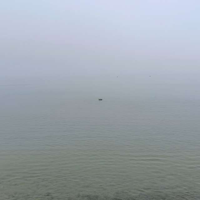 Gorod Svetlogorsk的Weather. 天气预报，带Михаил Бондаренко精美的照片照片