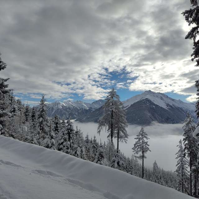 Bear. Weather forecasts with beautiful photos by sabrinastei Photos in World
