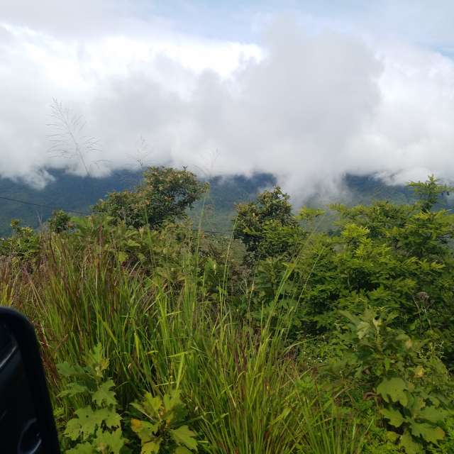 Weather forecasts with beautiful photos by Maggie Cabrer