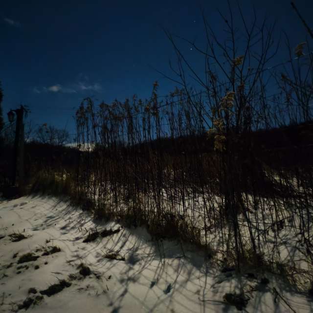 duck102の美しい写真による天気予報