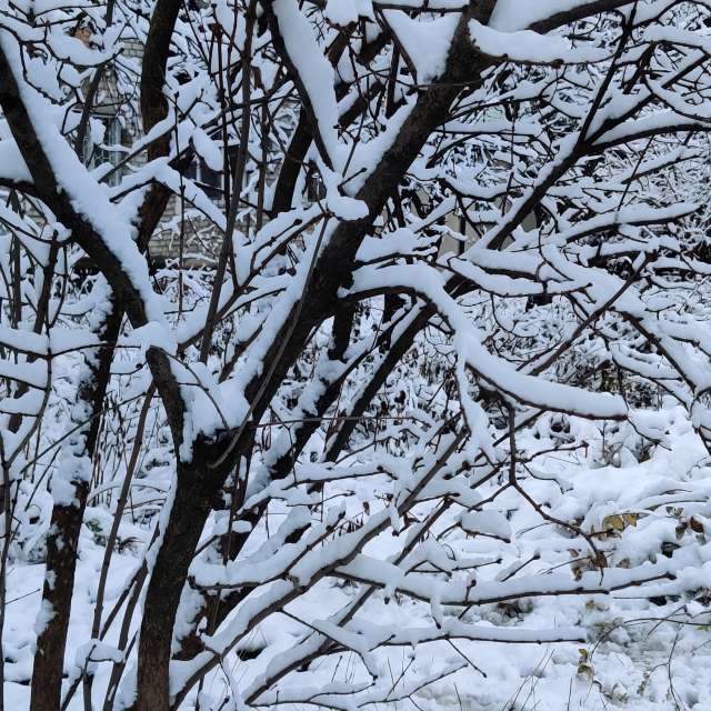 Gray. Weather forecasts with beautiful photos by IrAl Photos in Kharkiv