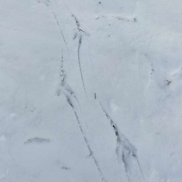 Direction. Weather forecasts with beautiful photos by Iryna Photos in Kharkiv