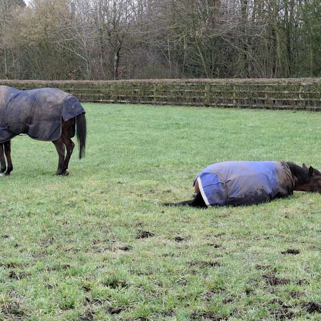Previsões do tempo com lindas fotos de Lolli