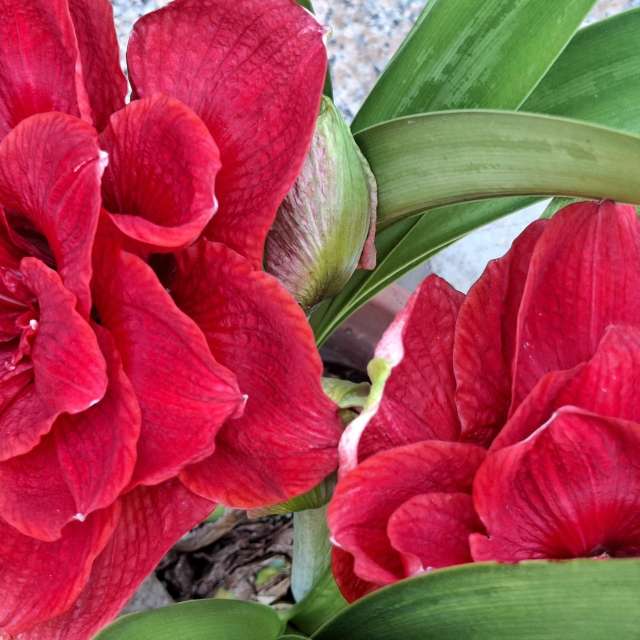 Laying. Weather forecasts with beautiful photos by Wen-ya Huang Photos in Kaohsiung City