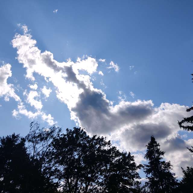 Fotos Ar. Previsões do tempo com lindas fotos de Zorrra em Kladow