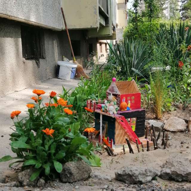 Obst. Wettervorhersagen mit schönen Fotos von AttilaSzilvássy Fotos Budapest