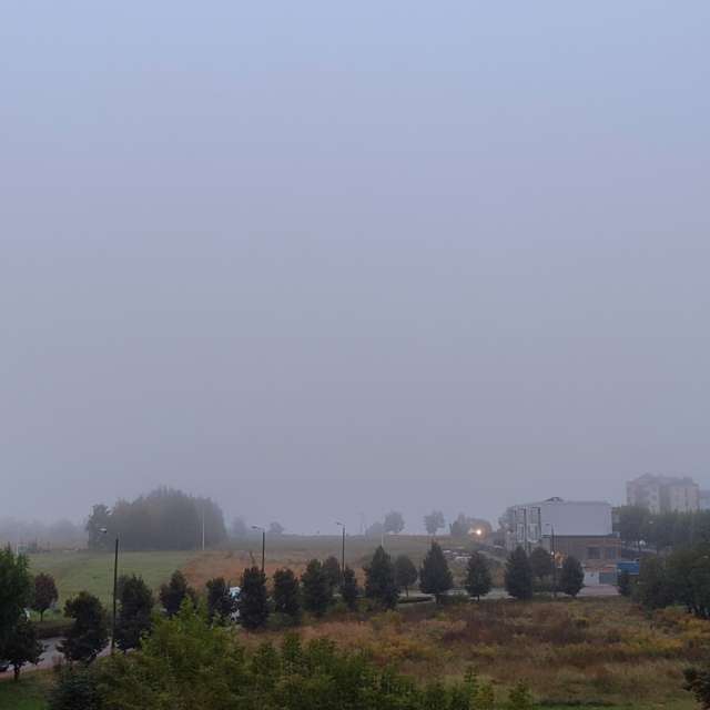 Tree. Weather forecasts with beautiful photos by Romek58 Photos in Wieluń