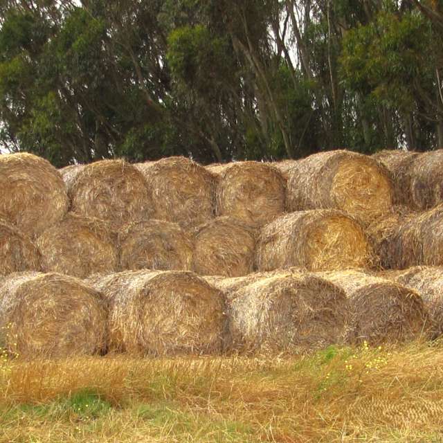 天气预报，带Step_Gently精美的照片