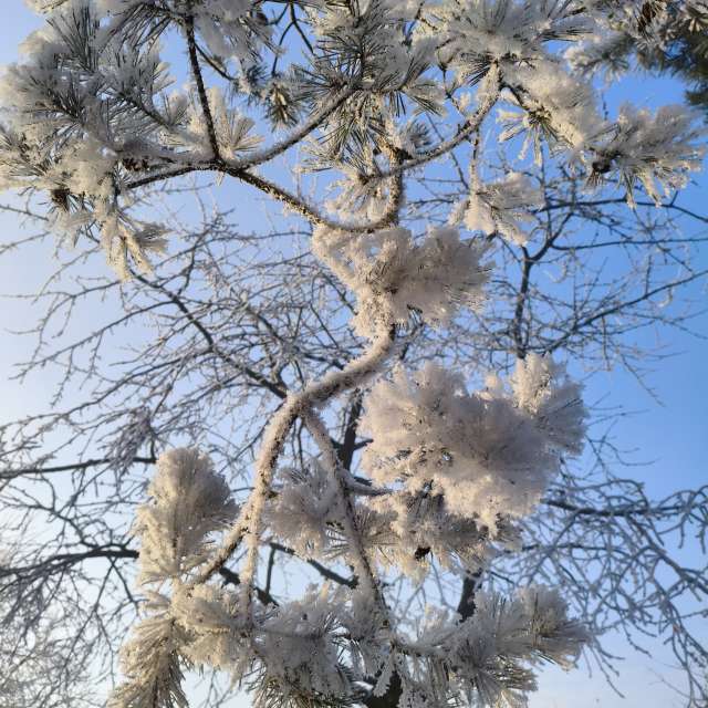 duck102の美しい写真による天気予報