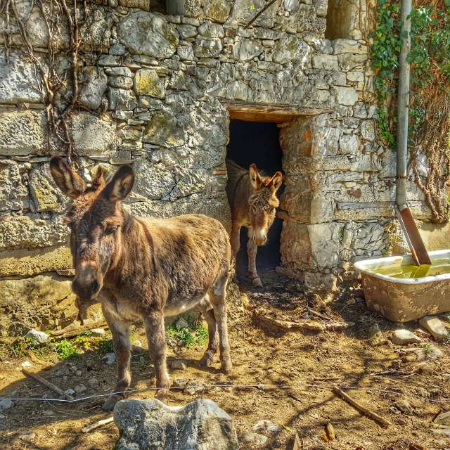 Прогнозы погоды с чудесными фотографиями, сделанными Silly